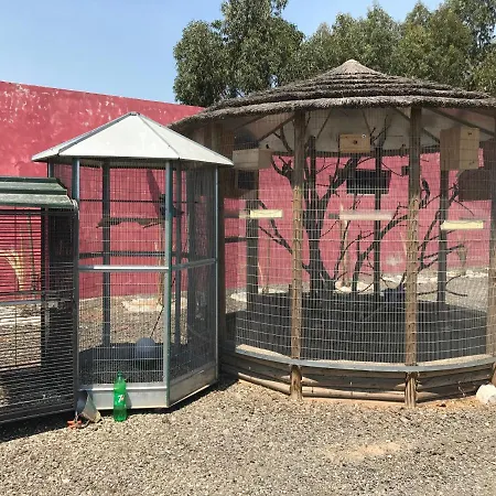 Quinta Dos R Сasa de vacaciones Monte Alegre