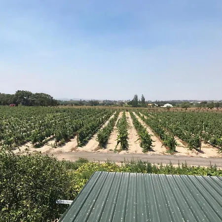 Quinta Dos R