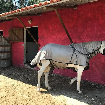 Quinta Dos R